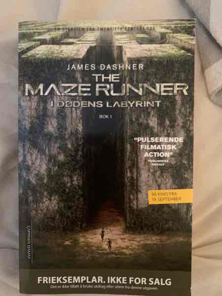 The maze runner