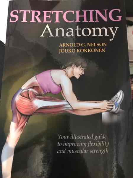 Stretching anatomy