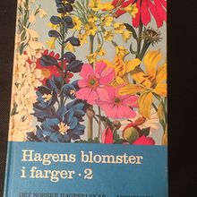 Hagens blomster i farger