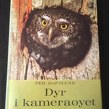 Dyr i kameraøyet