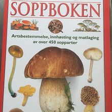 Den store Soppboken 