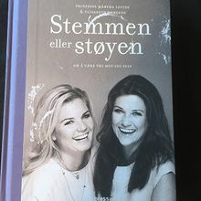 Stemmen eller støyen