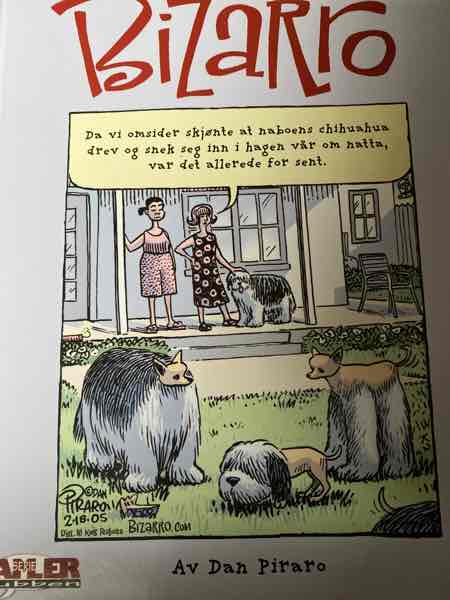 Bizarro