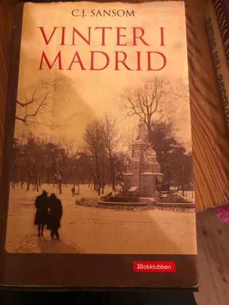 Vinter i Madrid 