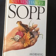 naturen i farger sopp