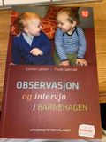 Observasjon og intervju i barnehagen