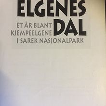 Elgenes dal : et år blant kjempeelgene i Sarek nasjonalpark