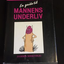 En guide til mannens underliv