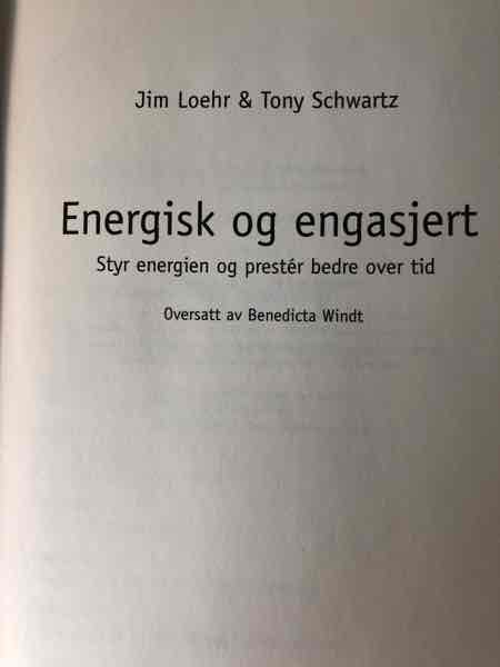 Energisk og engasjert
