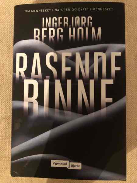 Rasende rinne