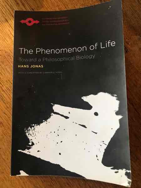 The Phenomenon of Life