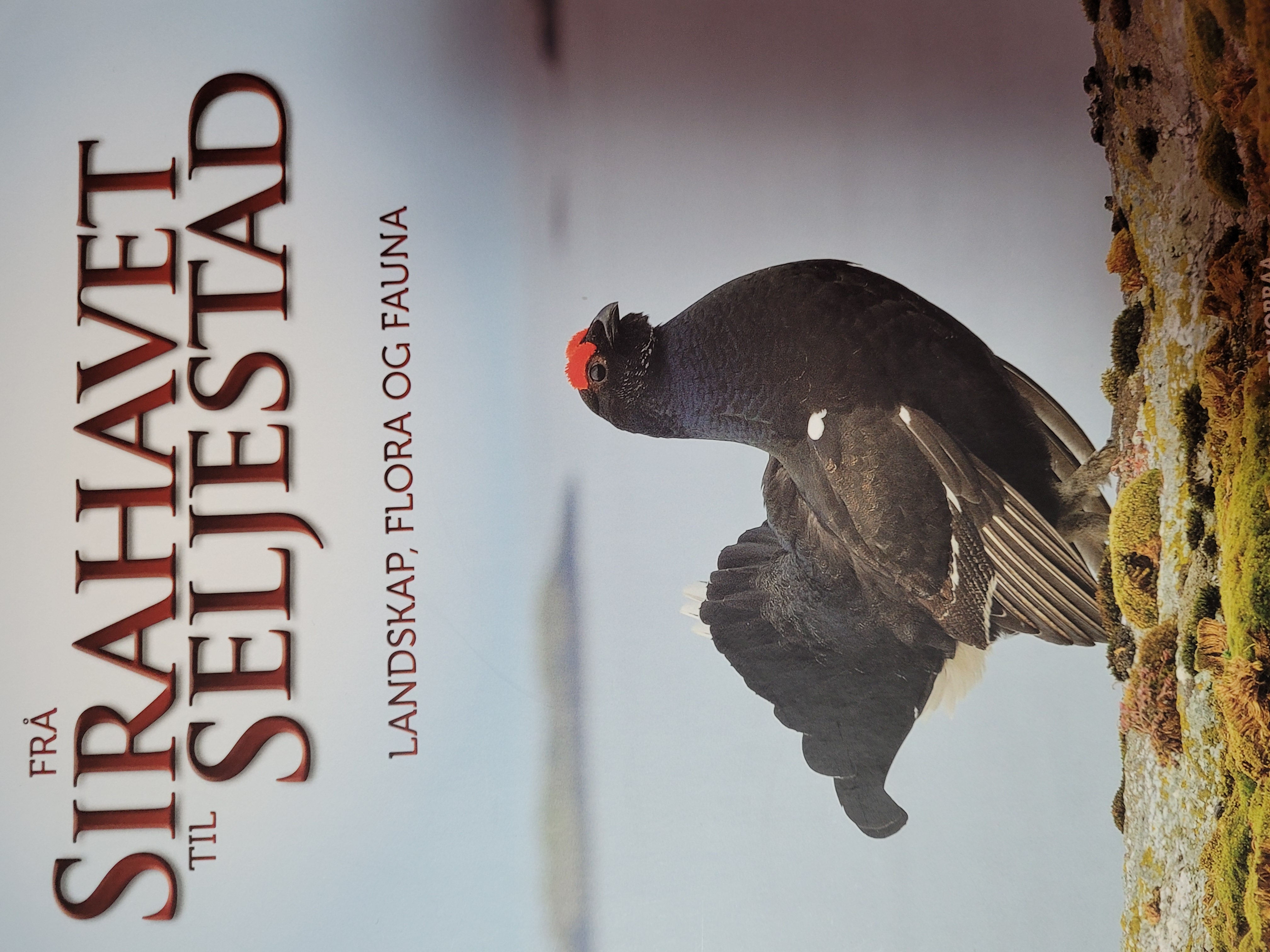 Frå Sirahavet til Seljestad Landskap flora og fauna