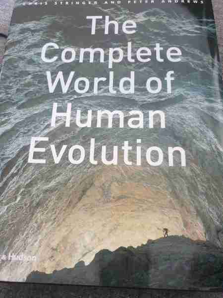 The complete world of human evolution