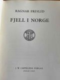Fjell i Norge