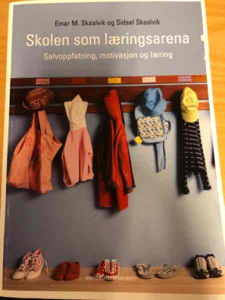 Skolen som læringsarena