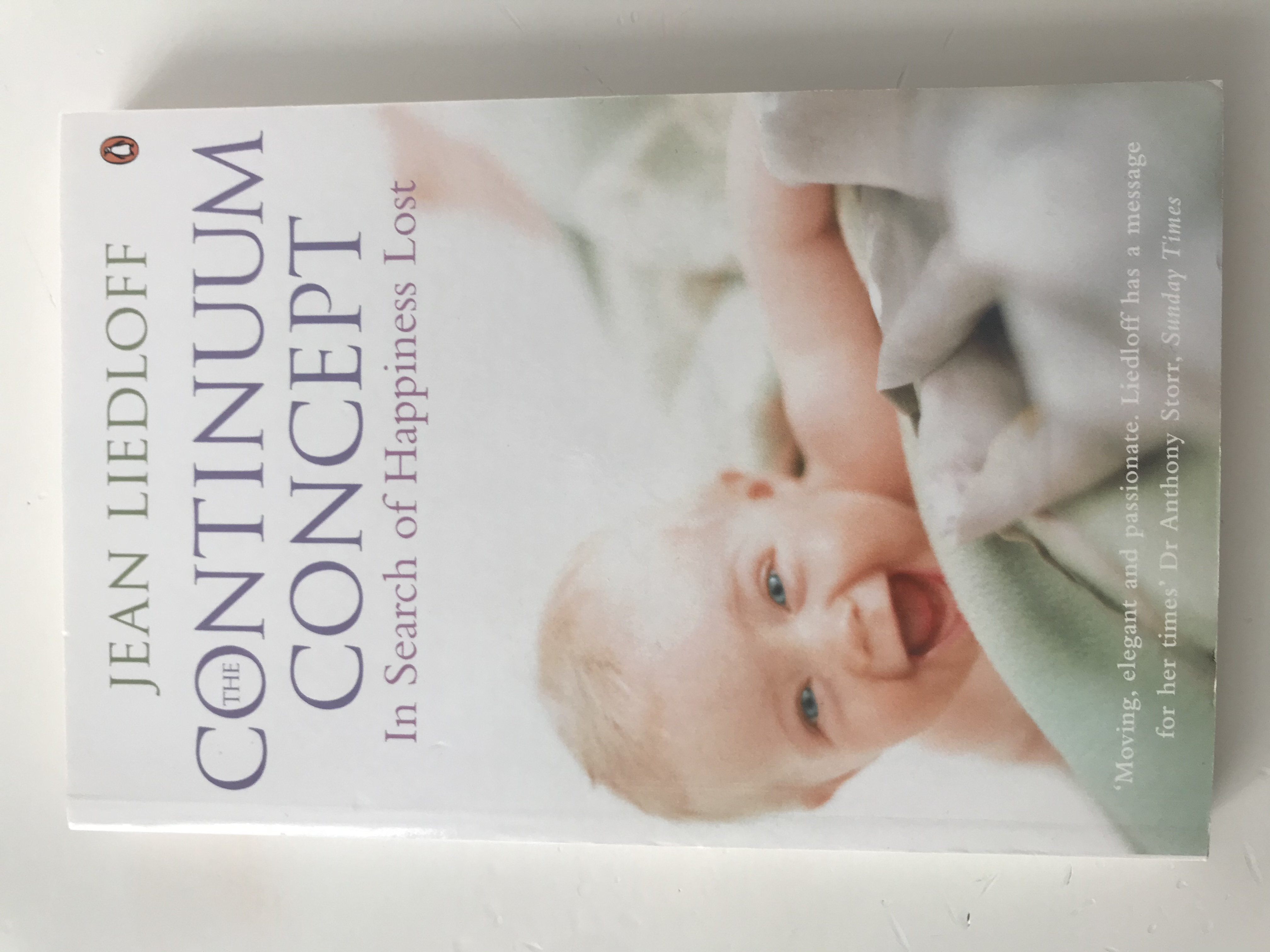 The Continuum conseot :In search of happiness lost