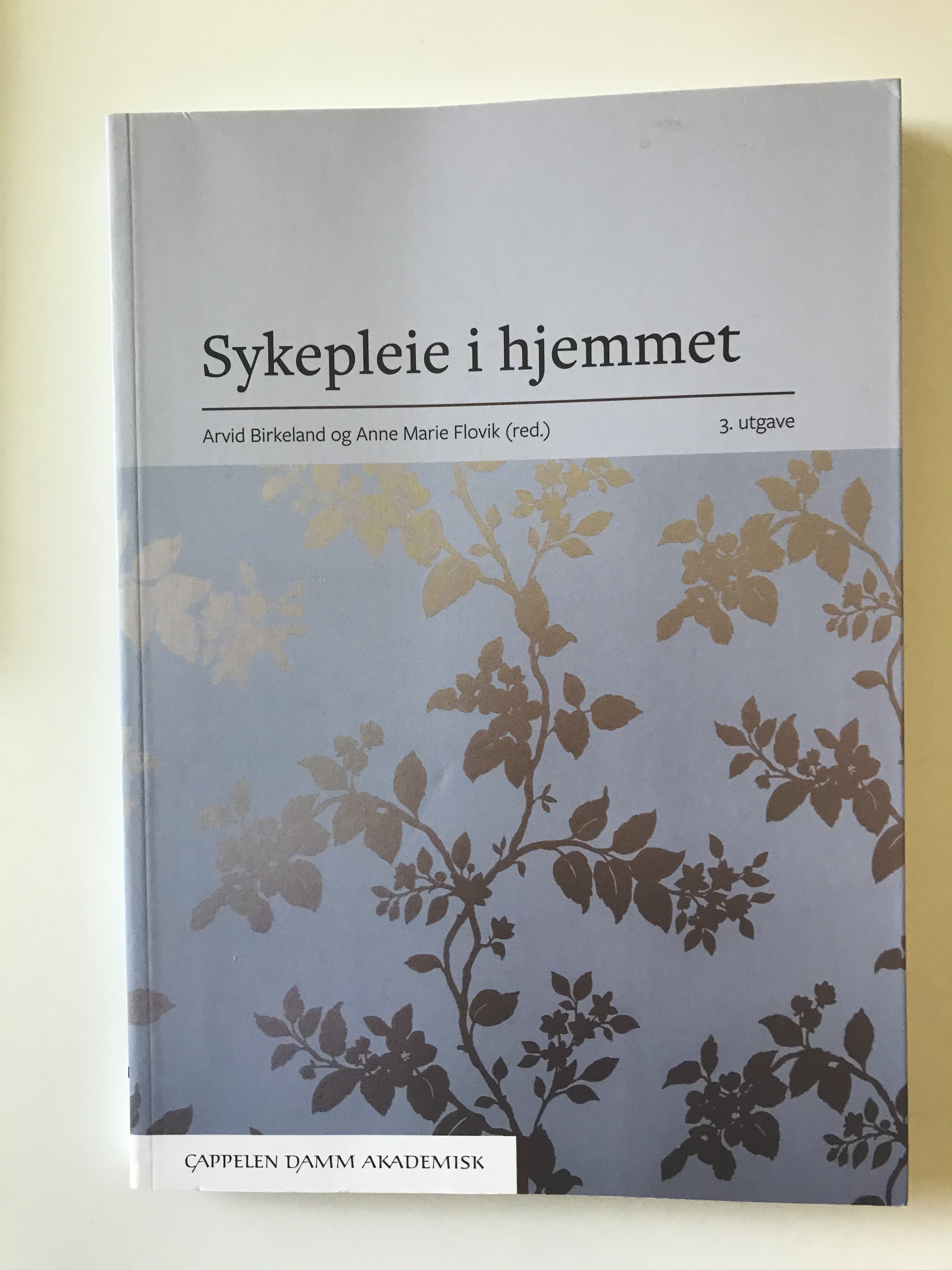 Sykepleie i hjemmet 