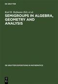 Semigroups in algebra, geometry, and analysis