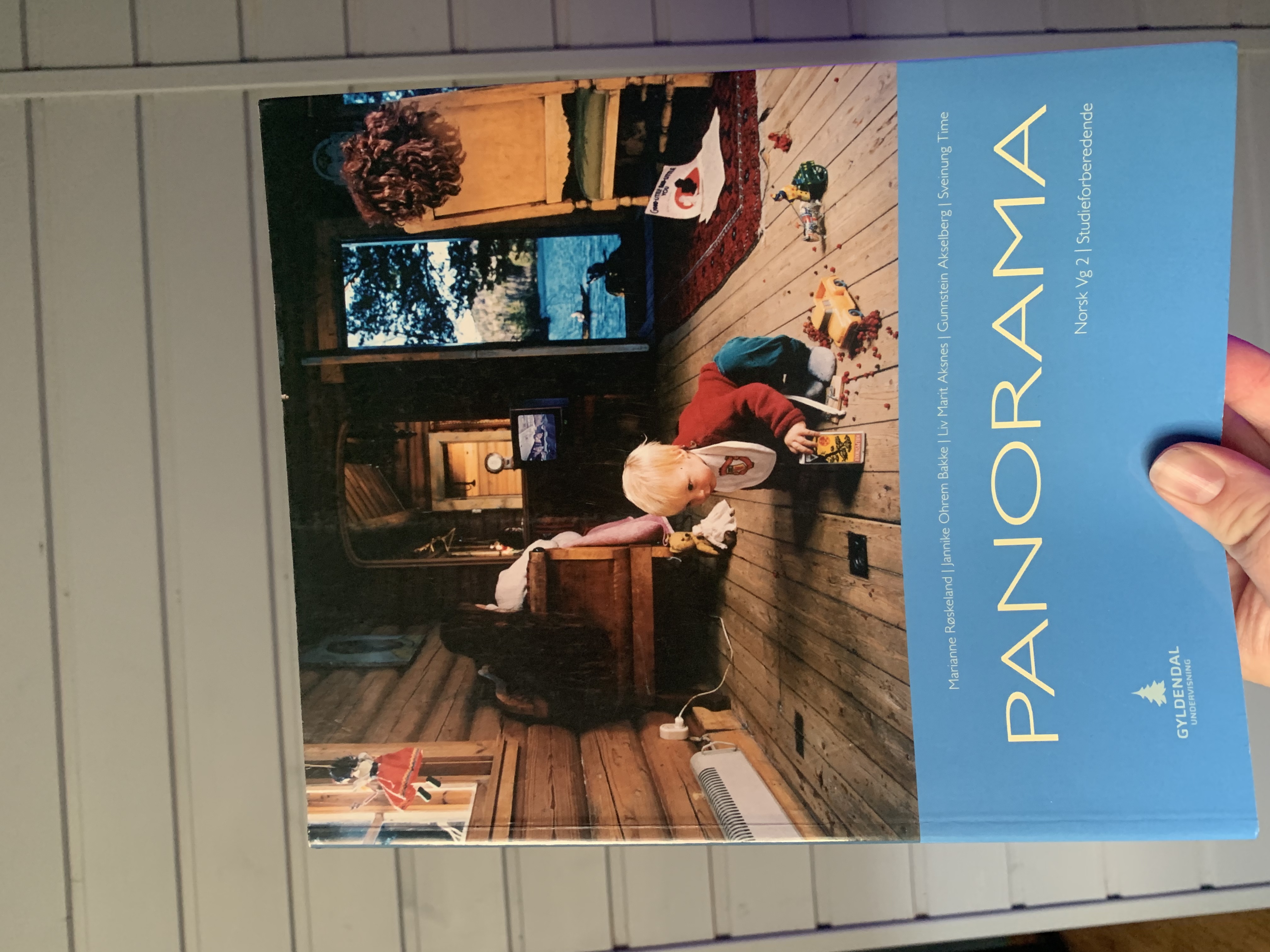 Panorama vg2