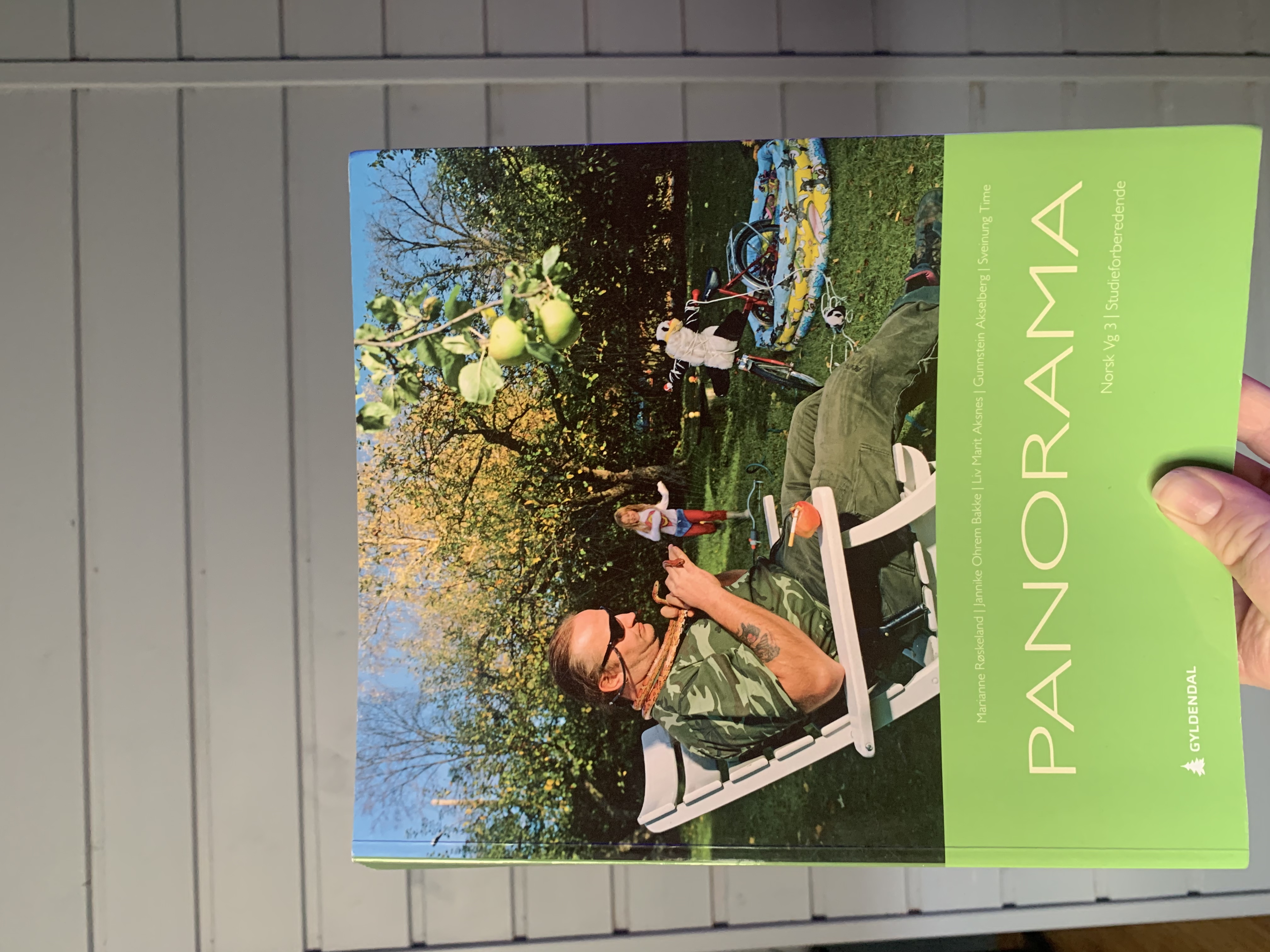 Panorama vg3