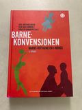 barnekonvensjonen: barns rettigheter i norge 