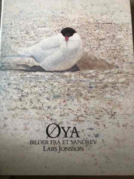 Øya