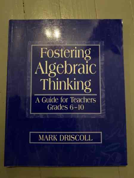 Fostering Algebraic Thinking