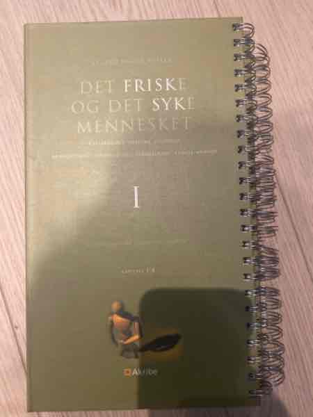 Det friske og det syke mennesket