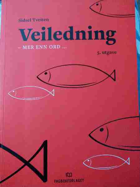 Veiledning mer enn ord 