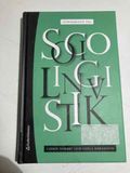 Introduksjon til sosiolingvistik
