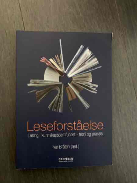 Leseforståelse