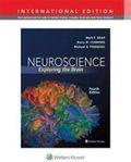 Neuroscience - Exploring the Brain 