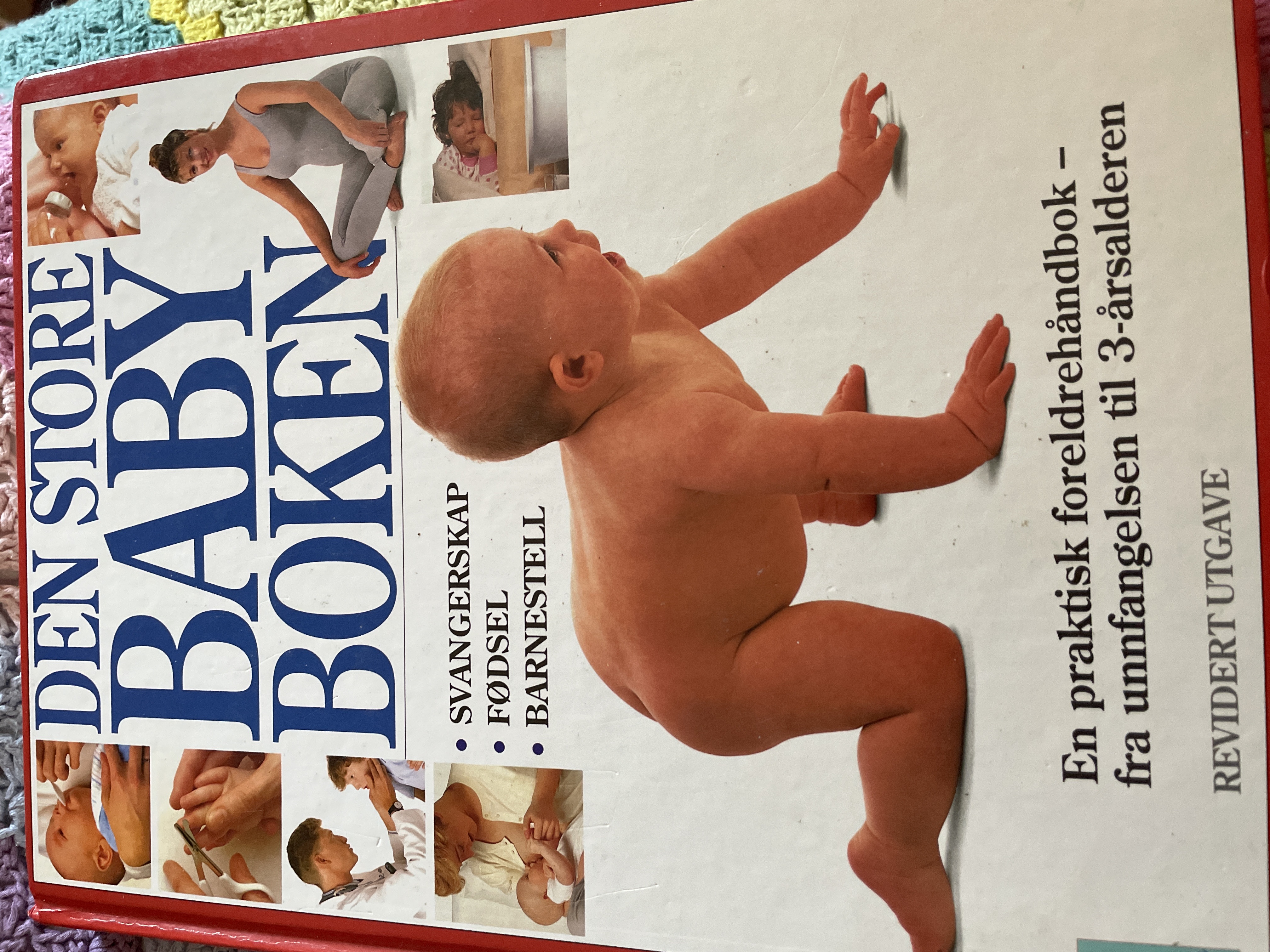 Den store baby boken