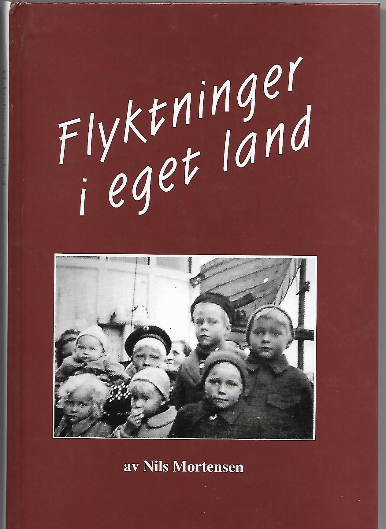 Flyktninger i eget land
