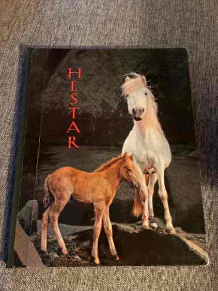 Hestar