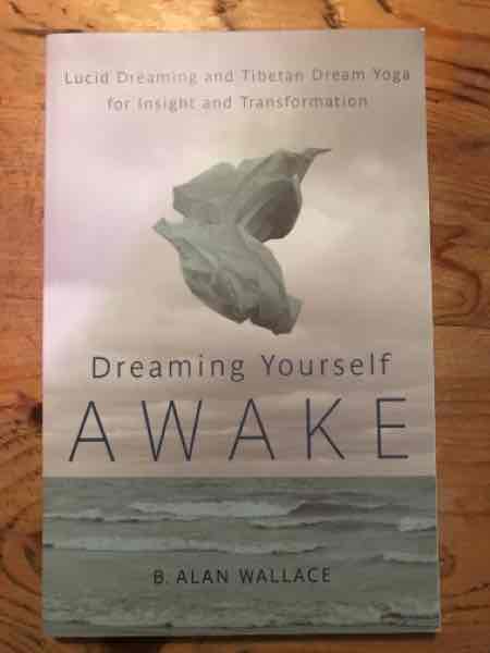 Dreaming yourself awake