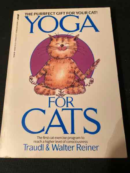 Yoga for cats