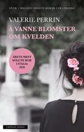 Å vanne blomster om kvelden