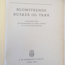 Blomstrende busker og trær.