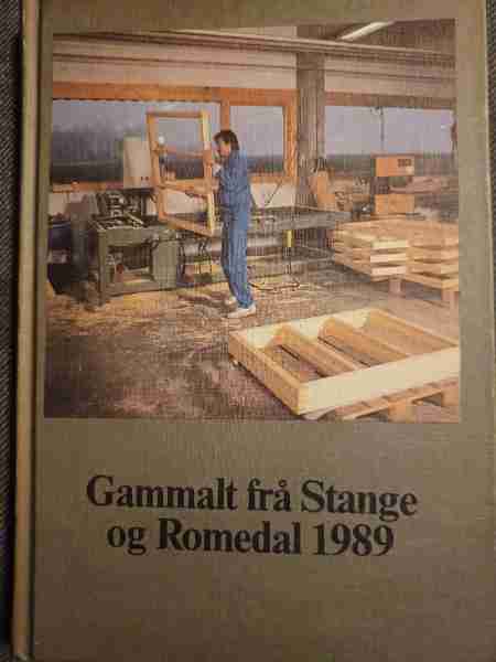 Gammalt frå Stange og Romedal 1989