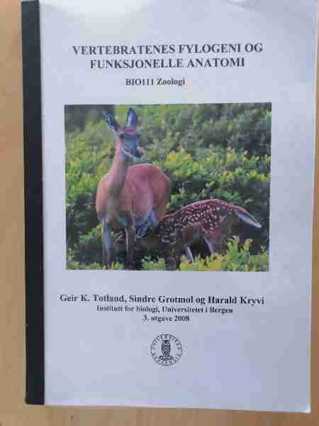 Vertebratenes Fylogeni og Funksjonelle Anatomy