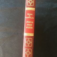 Alene med Vidda