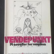Vendepunkt - 14 noveller for ungdom