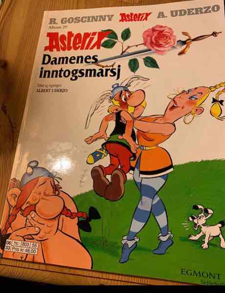 Astrix damenes inntogmarsj