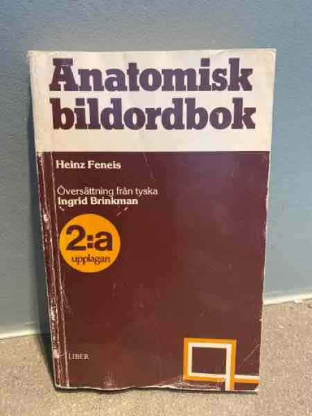 Anatomisk bildordbok