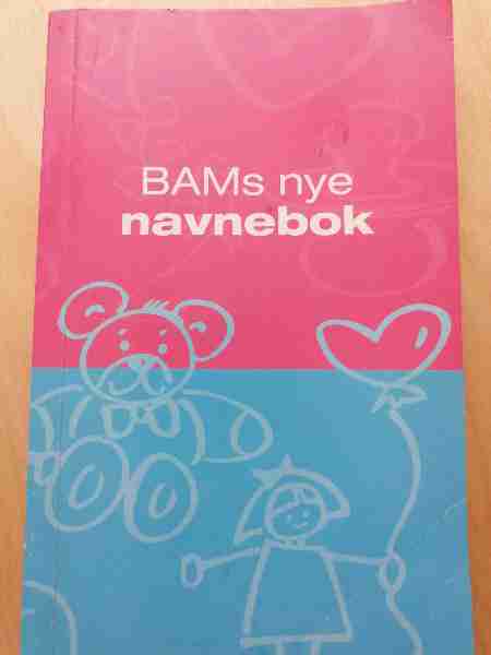 BAMs nye navnenok