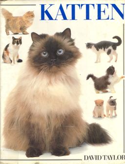 KATTEN