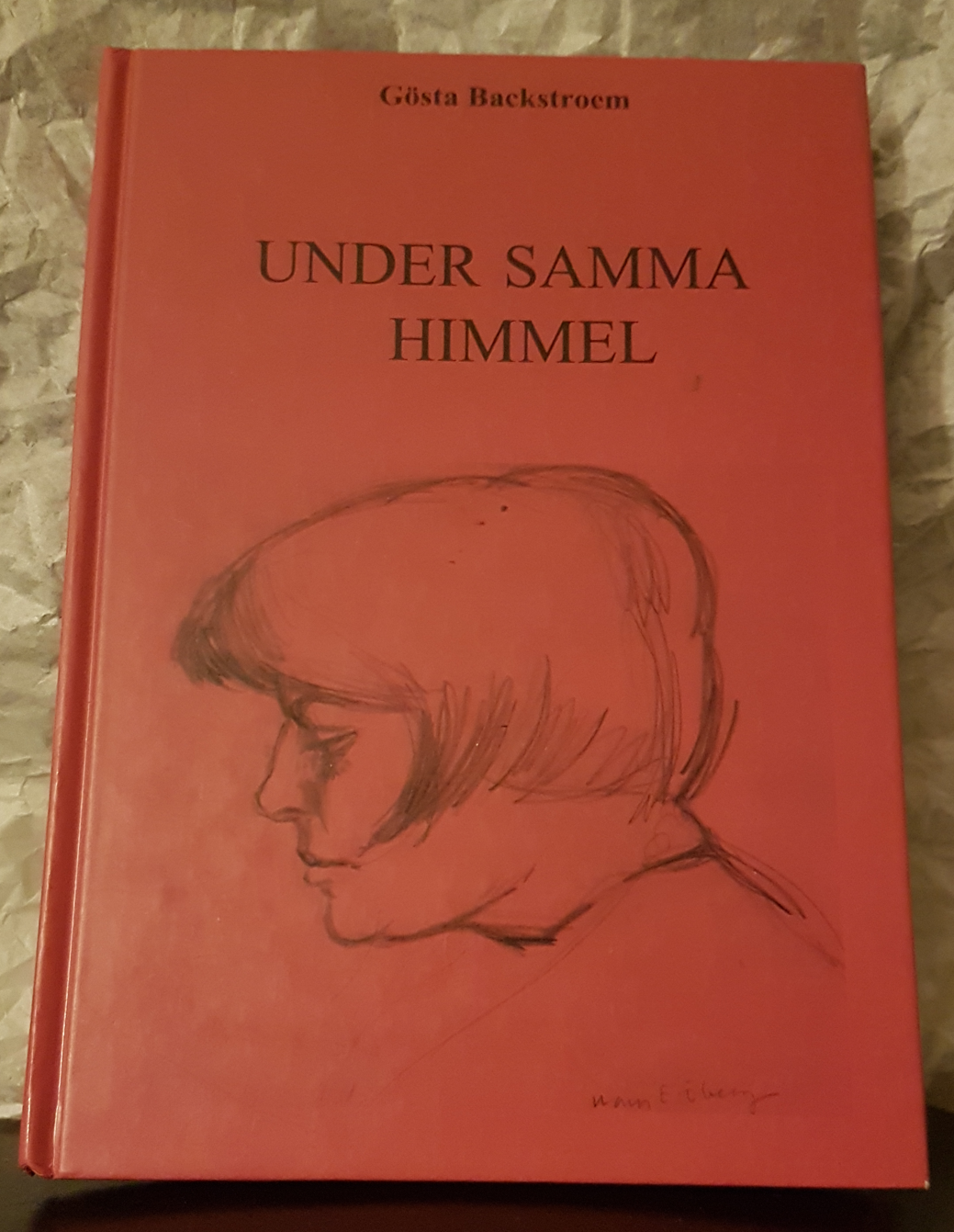 Under samma himmel