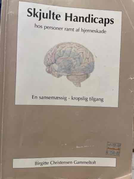 Skjulte Handicaps hos personer ramt af hjerneskade