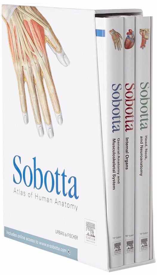 Sobotta: Atlas of Human Anatomy